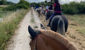 Percorso  Le Controis-en-Sologne - Rando Betty Feings - Photo 1