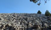 Tour Wandern Beaumont-du-Ventoux - Mt Serein - Cachillan - Photo 1