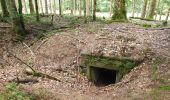 Excursión Senderismo Grandfontaine - Positions fortifiées du Donon sentier des casemates - sud - Photo 4