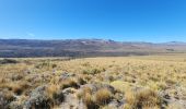 Tour Wandern Chile Chico - Circuito Piedra Clavada - Cueva de las Manos - Valle Lunar - Photo 2