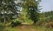 Tour Wandern Stoumont - A la découverte de Stoumont  - Photo 16