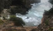 Trail Nordic walking Sainte-Anne - Fond grand ma  modette le littoral  - Photo 2