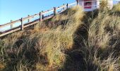 Trail Walking De Haan - Les dunes boisées - Photo 3