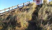 Tour Wandern De Haan - Les dunes boisées - Photo 3