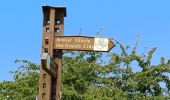 Tour Wandern Reichenweier - Riquewihr  - Photo 16