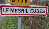 Tocht Stappen Le Mesnil-Eudes - Le Mesnil-Eudes - Photo 1