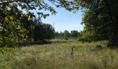 Trail On foot Unknown - Kassel-Wilhelmshöhe, Rundweg 7 - Photo 4