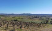 Trail Walking Conilhac-Corbières - CONILHAC Les Eoliennes - Photo 1