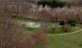 Excursión Senderismo Sault - sault, saint trinit, aurel, sault - Photo 7