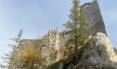 Tocht Te voet Gemeinde Hainfeld - Kaumberg - Araburg - Kollmannhof - Brennhof - zurück - Photo 3