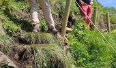 Trail Walking Lavigerie - 2024 RA Cantal Puy Mary - Photo 16