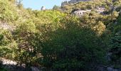 Trail Walking Bédoin - Bedoin  - Photo 12