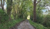 Tour Wandern Valorbiquet - St Cyr du Ronceray/Pretreville  - Photo 10