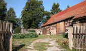 Percorso A piedi Ilmenau - Rund um den Stausee Heyda - Photo 7