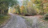 Trail Walking Gerpinnes - Campagne Les Bruyères GR 129 Tournibus - Photo 8