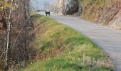 Trail Walking Cognin-les-Gorges - Les gorges du Nan - Photo 8