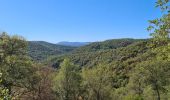 Trail Walking Les Arcs-sur-Argens - Vidauban - Tournavelle - Photo 2