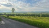 Trail Walking Breurey-lès-Faverney - Le Chaumont  - Photo 1