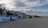 Randonnée Marche Argelès-sur-Mer - racou -  risque de portails (par les bois) port argeles (par la mer) le racou - Photo 5