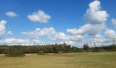 Tour Wandern Spa - petite balade autour de l aérodrome de Malchamps  - Photo 8