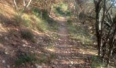 Trail Walking Peyruis - PEYRUIS . CIRCUIT DE LA REPENTANCE  O L M - Photo 8