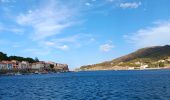 Tour Wandern Port-Vendres - les batteries . collioure . fort sant elme . port vendres . cap gros - Photo 8