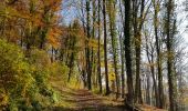 Trail Walking Voeren - Teuven - Photo 4