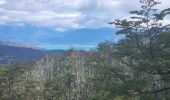 Trail Walking Chile Chico - Cerro Fosiles - Photo 6