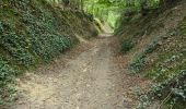 Tour Wandern Soisy-sur-École - Soisy-sur-Ecole  - Tertres - Photo 12