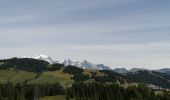 Randonnée Marche Hauteluce - sous Bisanne au lac des Saisies - Photo 5