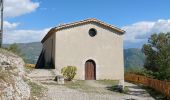 Trail Walking Château-Arnoux-Saint-Auban - CHATEAU ARNOUX .  Chapelle S Jean o l - Photo 20