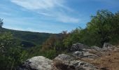 Tour Wandern Milhars - Milhars du Cėrou à l'Aveyron - Photo 10