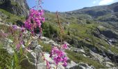 Tocht Te voet Pieve Tesino - Sentiero alpinistico attrezzato di Forcella Segura - Photo 8