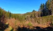 Tour Wandern Bièvre - Balade de Petit-Fays à Monceau en Ardenne - Photo 5