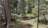 Trail Walking Château-Ville-Vieille - sommet buchet - Photo 1