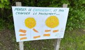 Tocht Stappen Daverdisse - Gembres 27,2 km - Photo 12