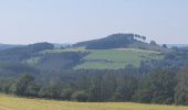 Trail Walking Nassogne - rando nassogne 7/09/2021 - Photo 1