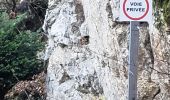 Tocht Stappen Plan-d'Aups-Sainte-Baume - Le sentier merveilleux et les glacières - Photo 3