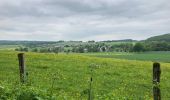 Tour Wandern Rochefort - GR 17 - Boucle 4 / Han-sur-Lesse / 18 km - Photo 13