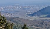 Trail Walking Zimmerbach - Rando Trail Walking Zimmerbach - Rando