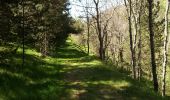 Excursión Senderismo Valcebollère - la cami de sant bertheleu - Photo 3