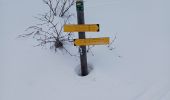 Trail Snowshoes Bardonecchia - MS G1 Le Melezet- refuge Re Maggi- lac vert - Photo 6
