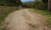 Trail Walking A Fonsagrada - Fonsagrada- Grandas de Salime - Photo 1