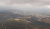 Randonnée Marche La Vacquerie-et-Saint-Martin-de-Castries - GR7 St Guilhem le Désert! - Photo 10