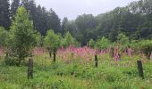 Randonnée Marche Rendeux - Marche ADEPS Gênes (Rendeux) - Photo 9