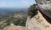 Excursión A pie la Morera de Montsant - La Morera de Montsant - Photo 4