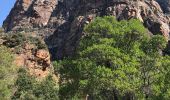 Tocht Stappen Ota - Gorge de spelunca  - Photo 4