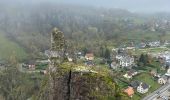 Randonnée  Le Bonhomme - Le bonhomme col des bagenelles  - Photo 3