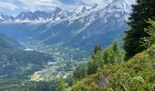 Trail Walking Saint-Gervais-les-Bains - LE PRARION  - Photo 4