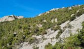 Tour Wandern La Valette-du-Var - Coudon fort Girardin sud - Photo 2